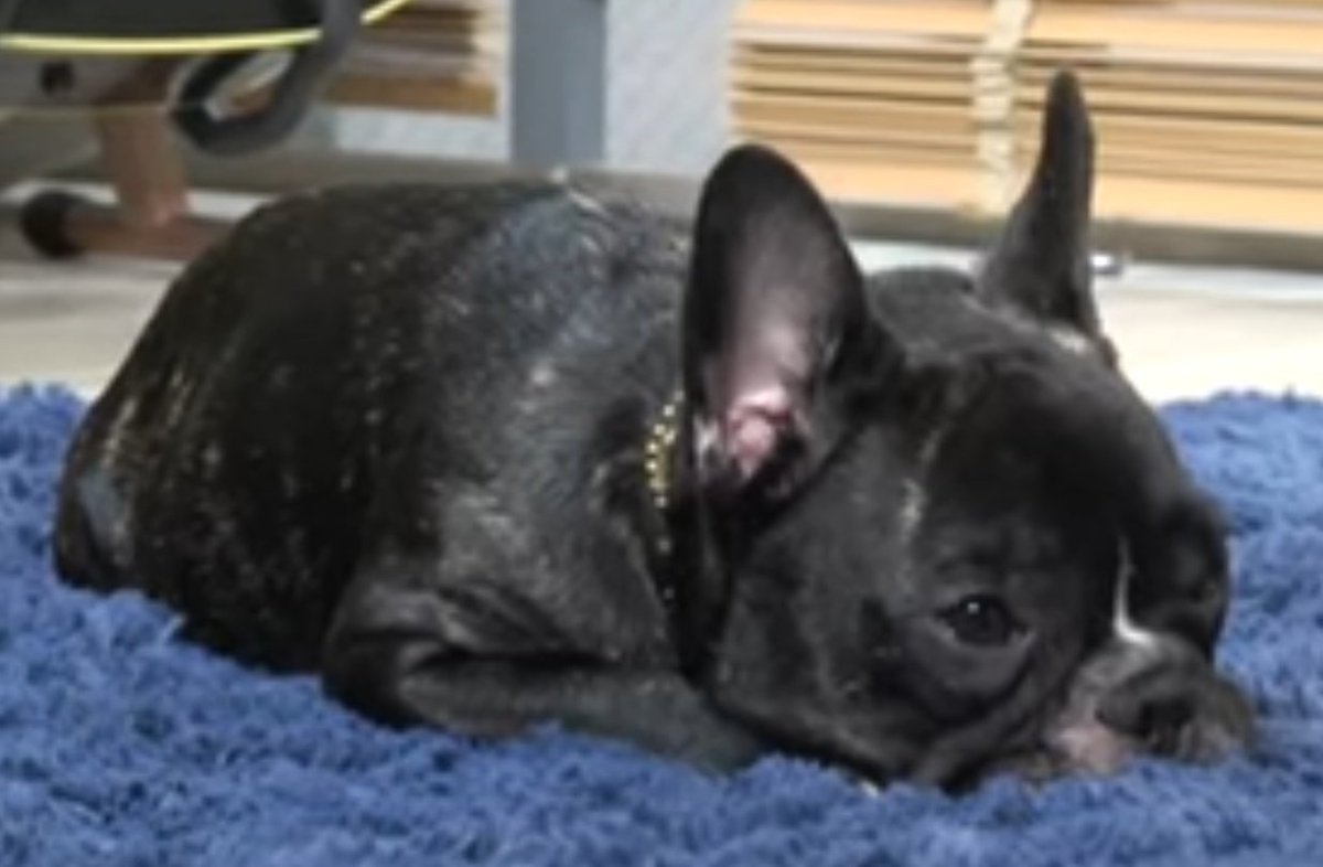 あっき〜 tweet media