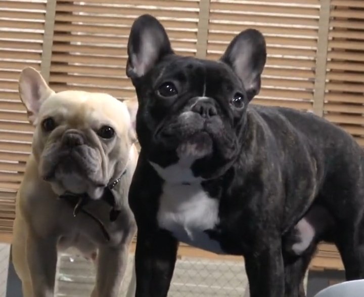 あっき〜 tweet media