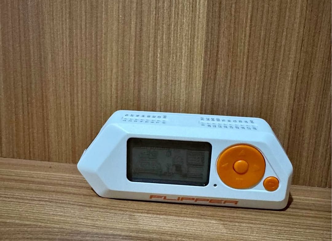 SmwGwOto tweet media