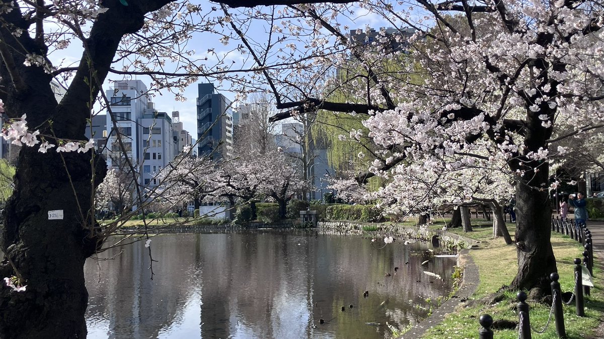 池之端根津子 tweet media