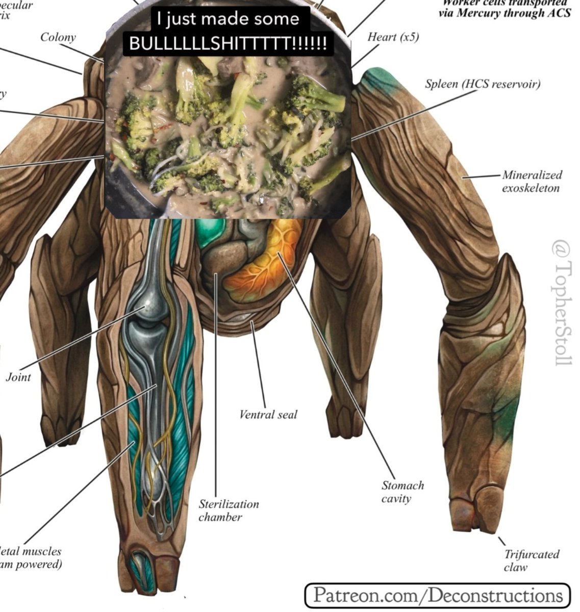 Shrimp Rider 🇭🇹 🇩🇴 🏳️‍⚧ tweet media