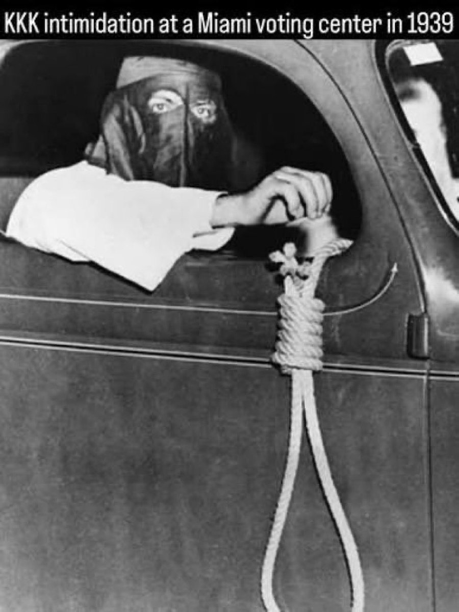 bluebonnetdem NO FUCKS LEFT💙🐾 tweet media