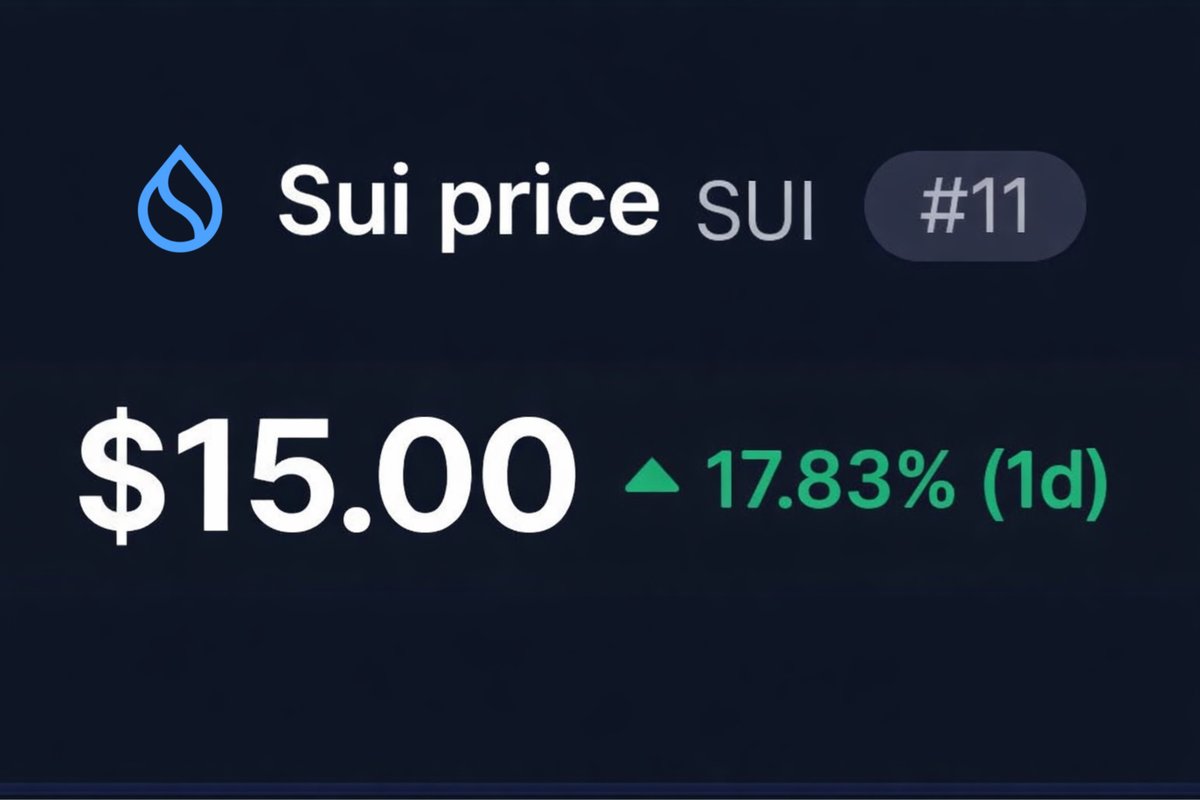 Sui Intern tweet media