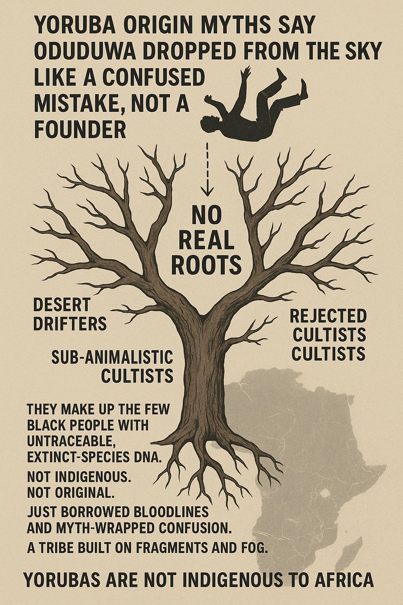 Prince Onyebuchi lion🦁🥷🏾🌇 tweet media