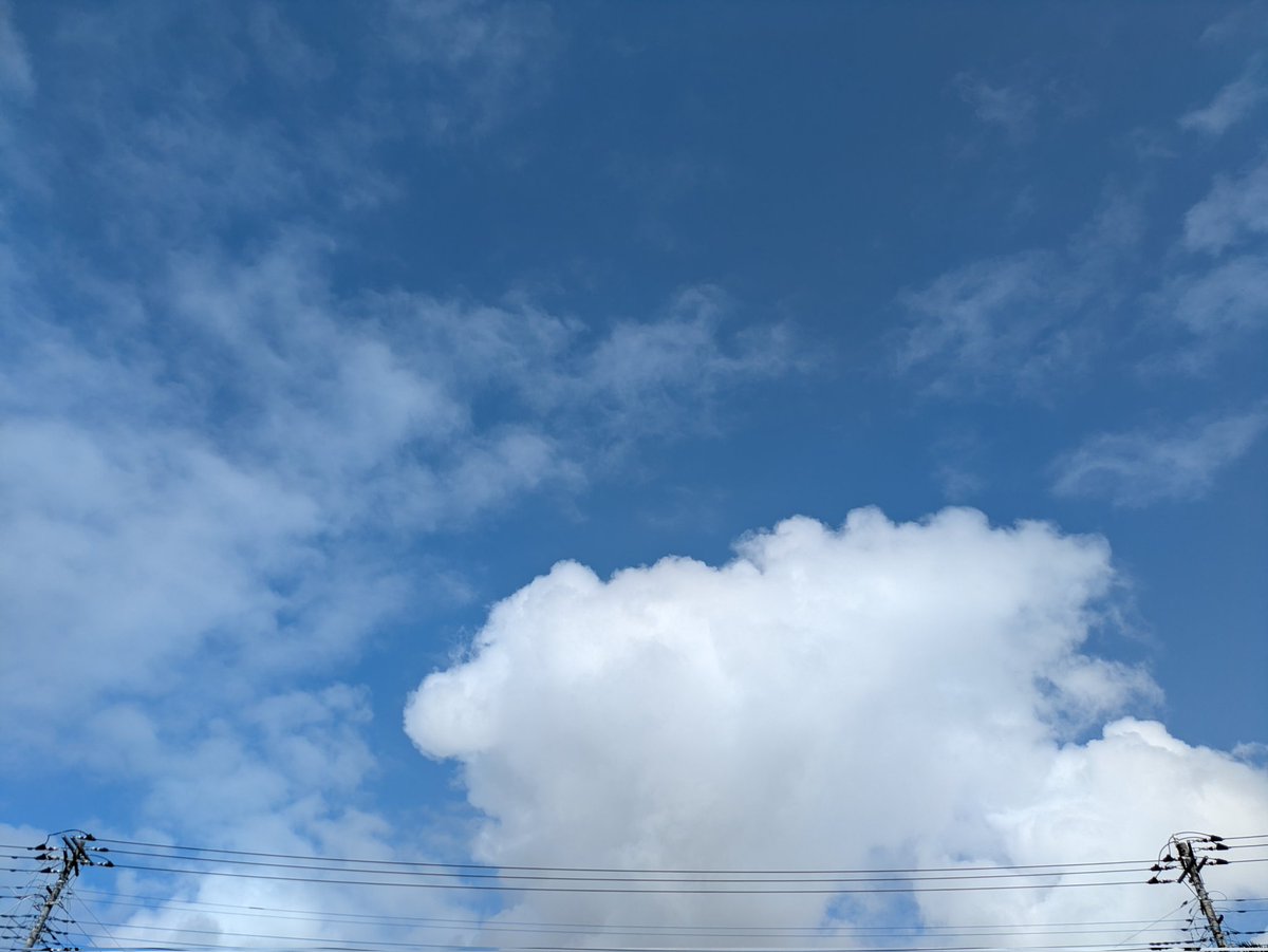 くろ〄💮 tweet media