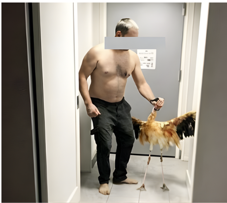 Animal Victory tweet media