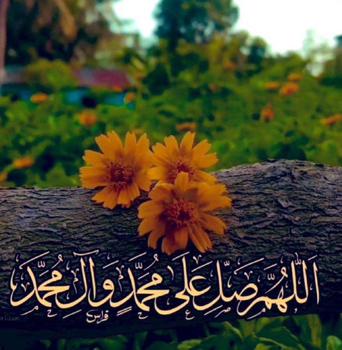 اللهم في ليلة الجمعة أنعم علينا بالرضا والعافية وقلبٍ مطمئن وفرحٍ دائم .
.

.
#اللهم_صل_وسلم_على_نبينا_םבםבﷺ 
#الشيهانه_القحطاني
#قروب_المسافر_فهد