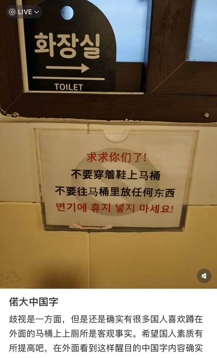 のらいぬ tweet media