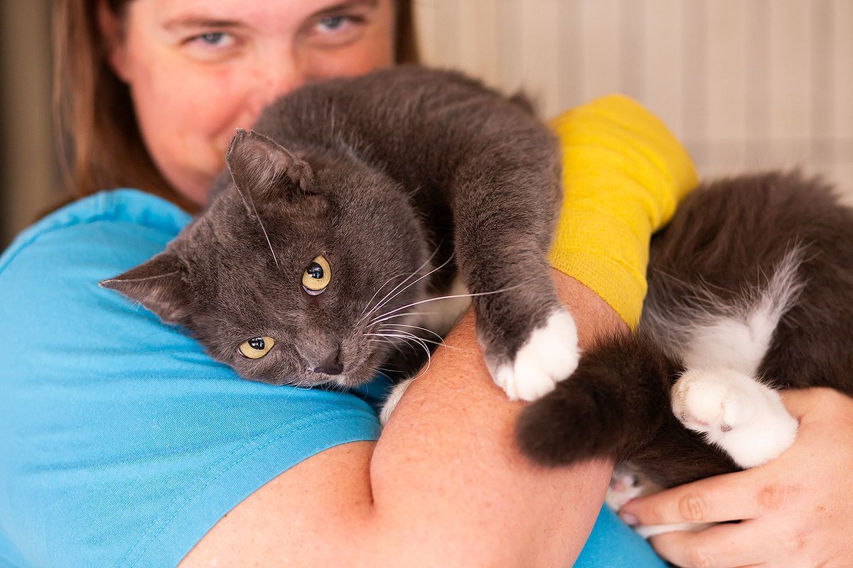 Whiskers 'N' Wishes Sanctuary tweet media