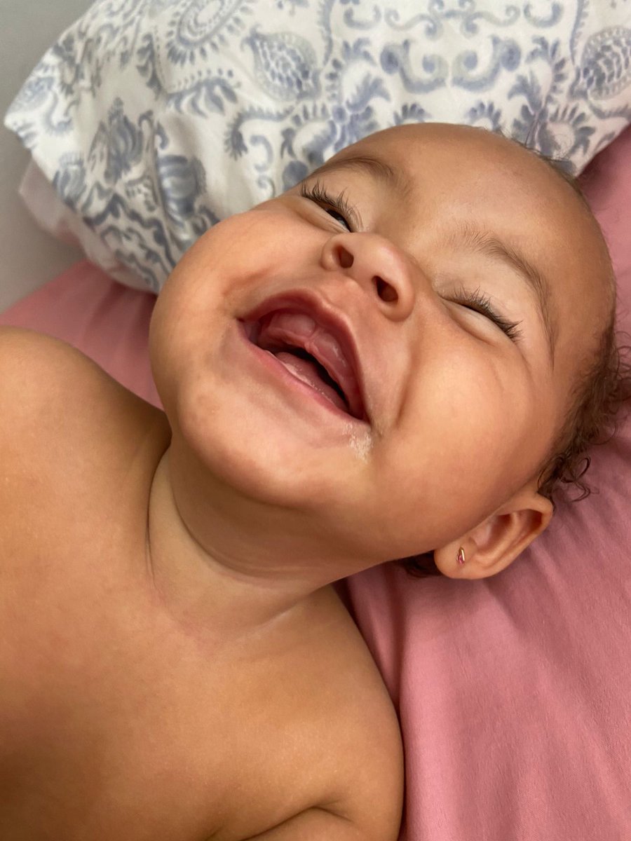 pinscher raivoso tweet media