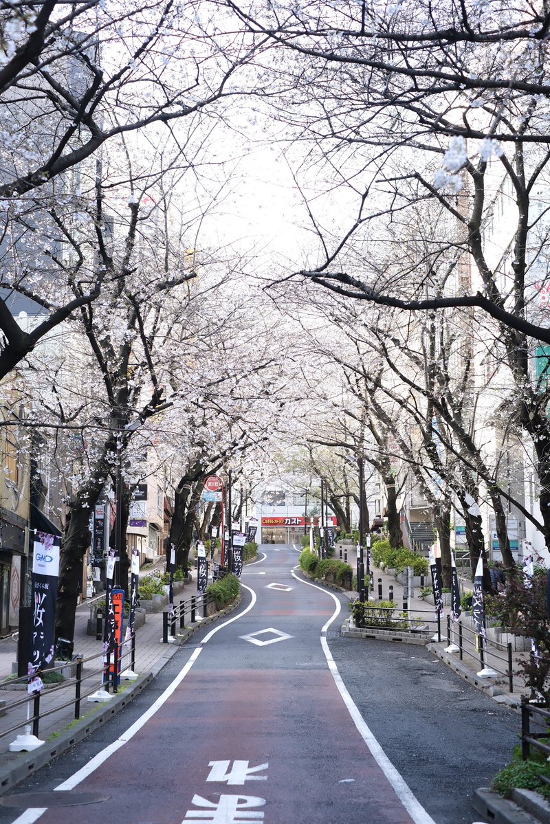 渋谷SAUNAS tweet media