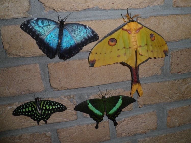 ⋆.·★ ℱₗₒᵣₐ ★·.⋆ tweet media