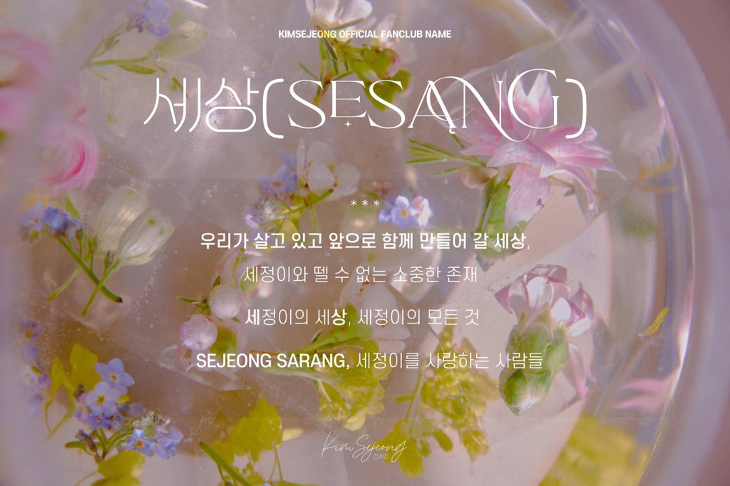 김세정 갤러리 tweet media