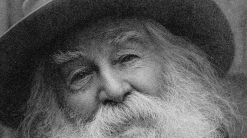 María Antonieta Flores tweet media