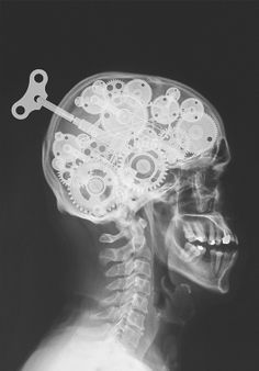 KaT~ 💀 tweet media