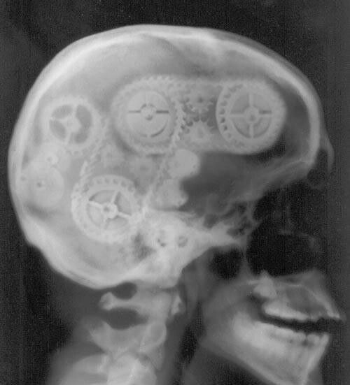 KaT~ 💀 tweet media