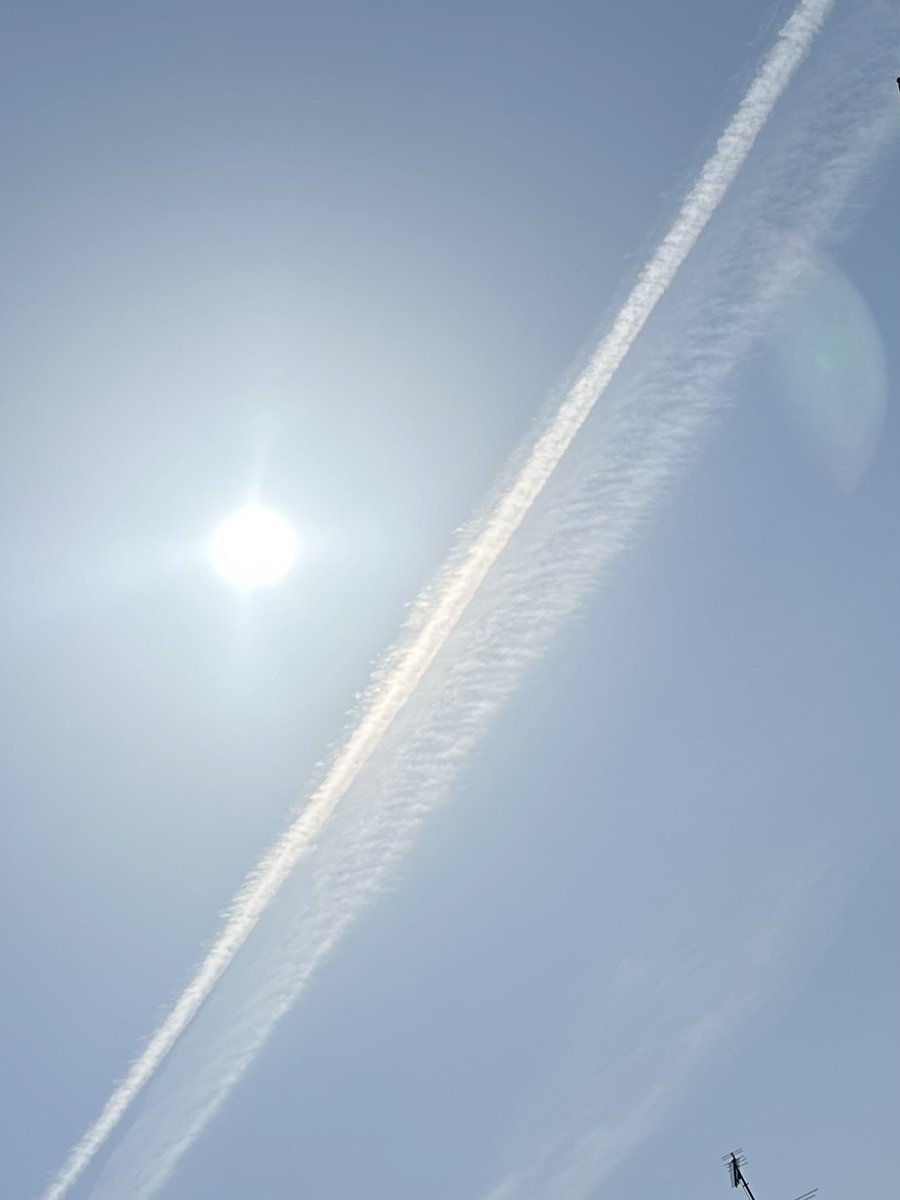 虎人2🇯🇵 tweet media