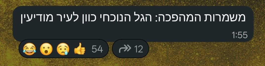 gal shemer tweet media