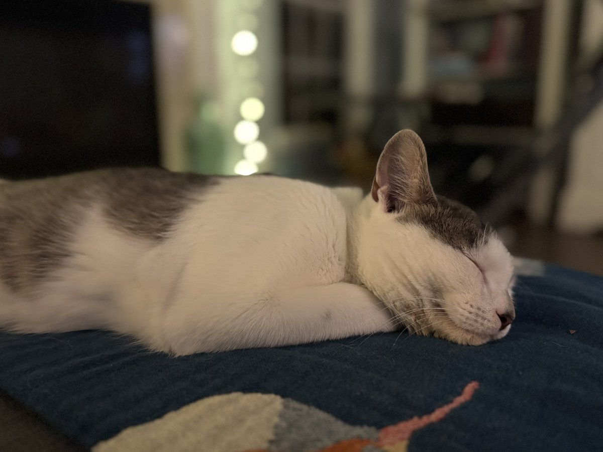 💥 Nurse D, RN/1L tweet media