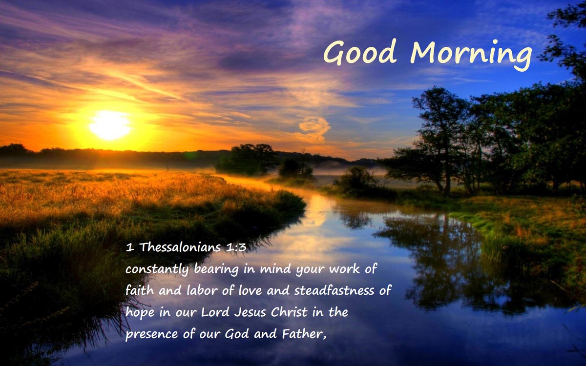 Otto Palindrome tweet media