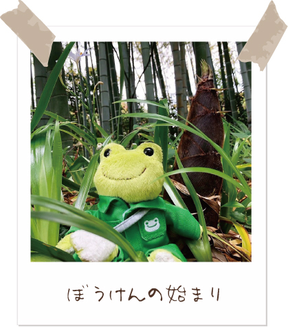 かえるのピクルス/pickles the frog tweet media