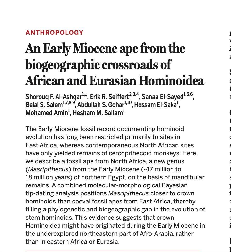 مــد(🇪🇬مـصـر🇪🇬)نــيــة tweet media