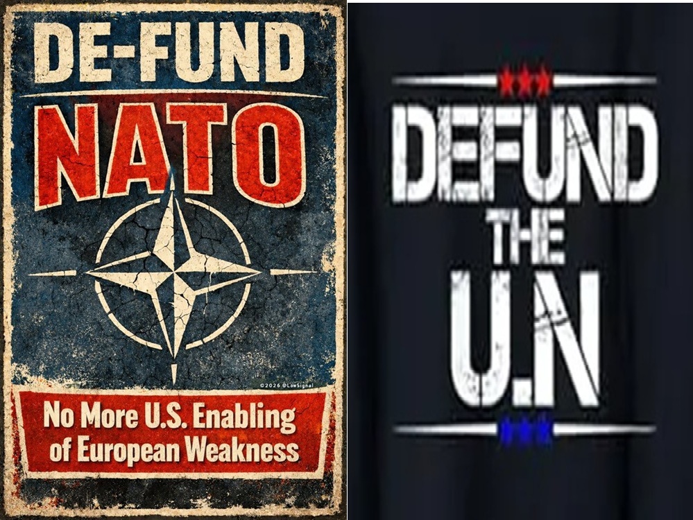 RogueSailor tweet media