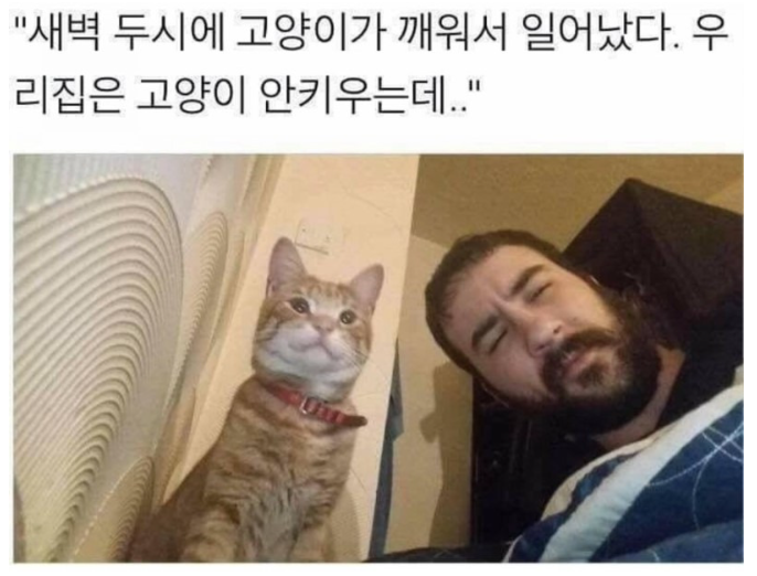 돌아온지지 tweet media