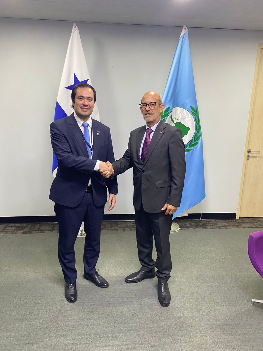 Parlamento MERCOSUR tweet media