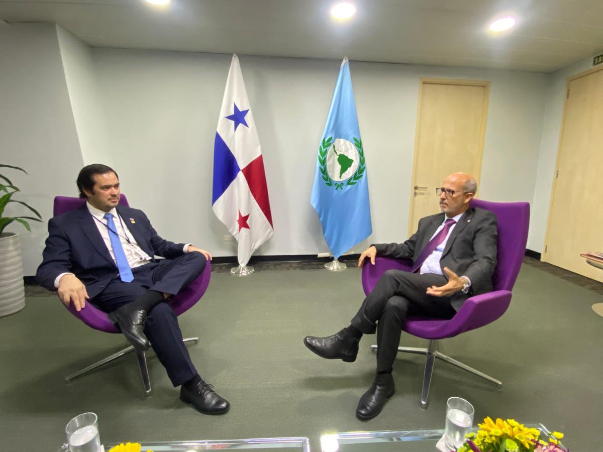 Parlamento MERCOSUR tweet media