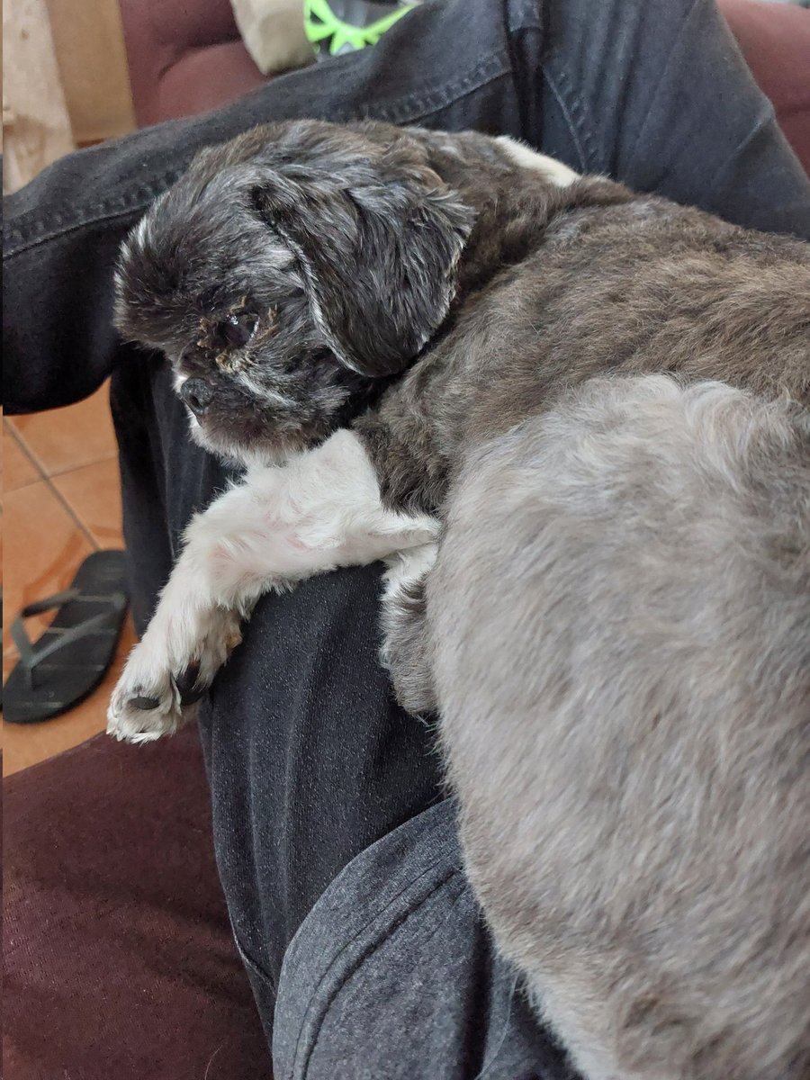 Bagunça tweet media