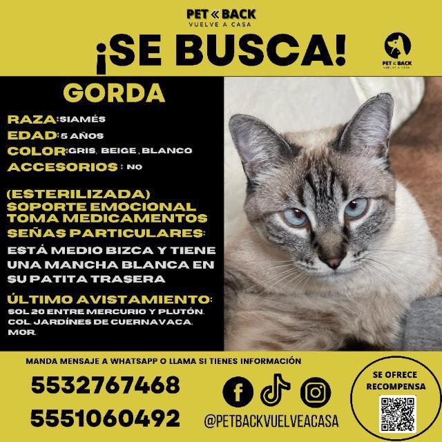 Jardines de Cuernavaca tweet media