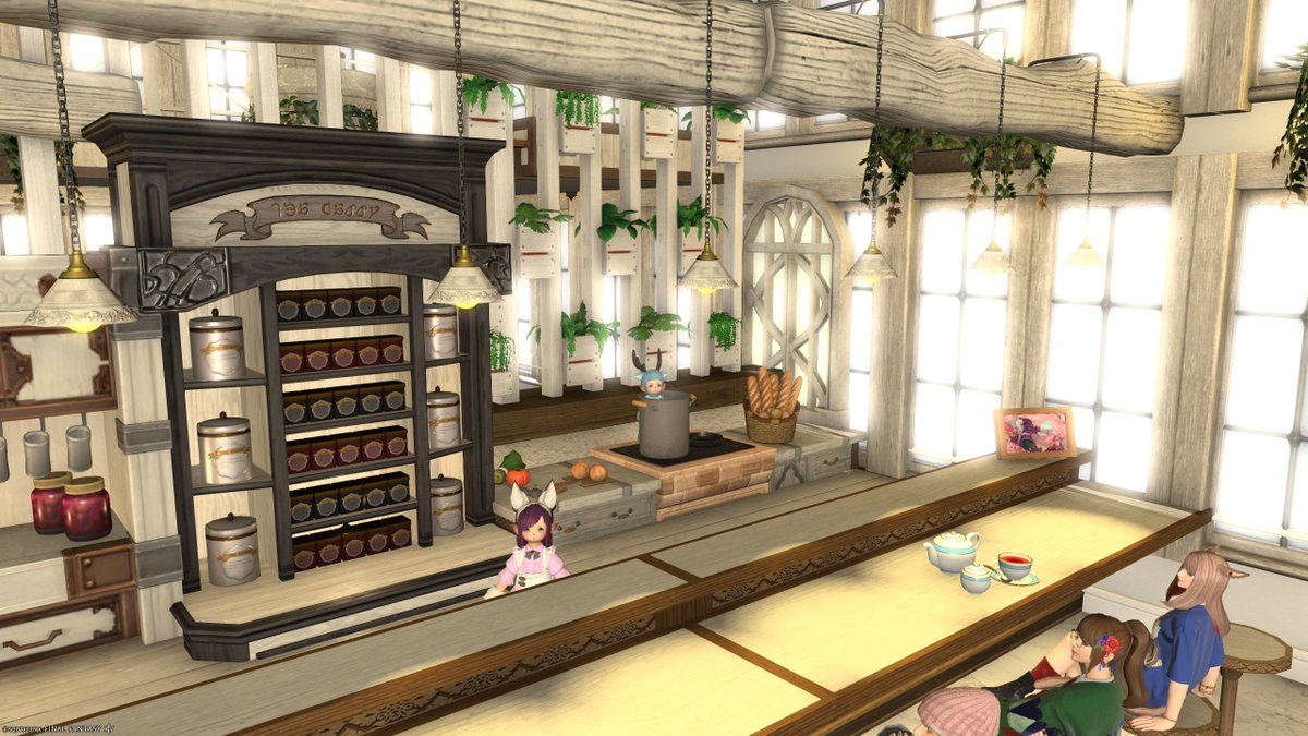 いえのねこ tweet media