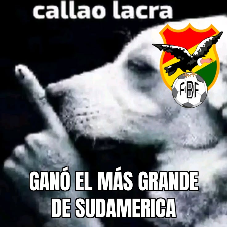 Tottenham Bolivia tweet media