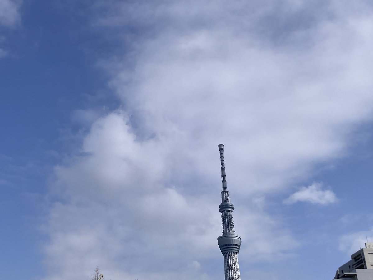 サクサクサンカクサンタ tweet media