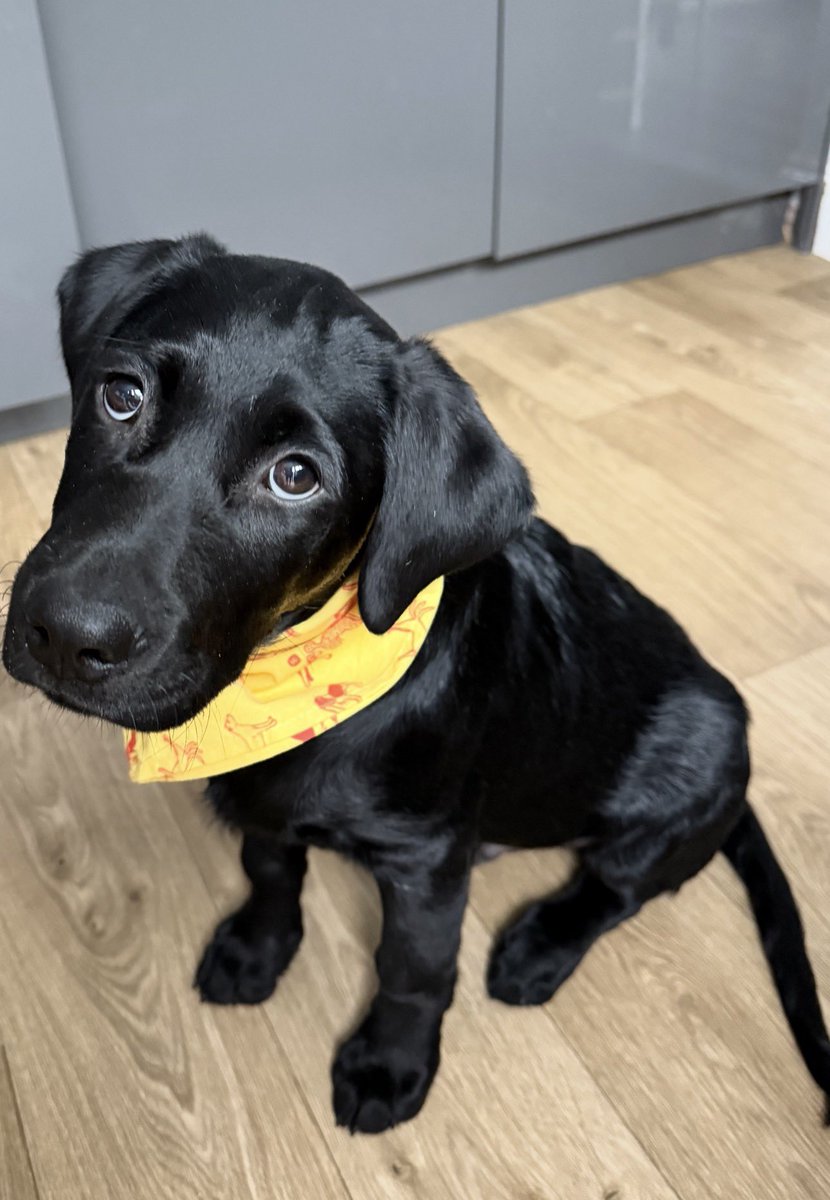 Chris 🍌 tweet media