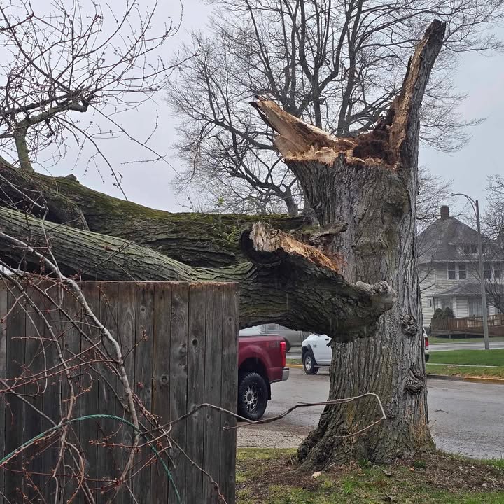 WTHR.com tweet media