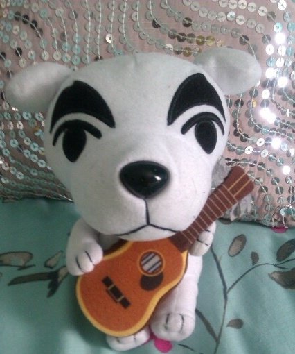 PANTHERA tweet media