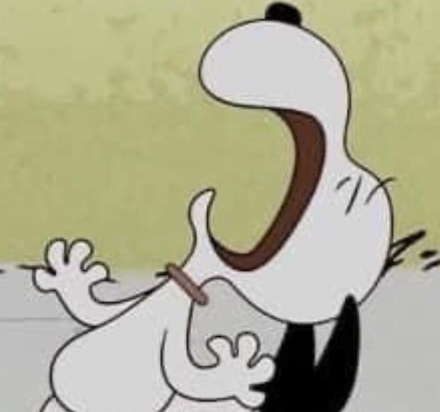 PANTHERA tweet media