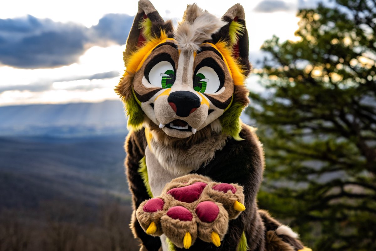 Sid ✈️ tweet media