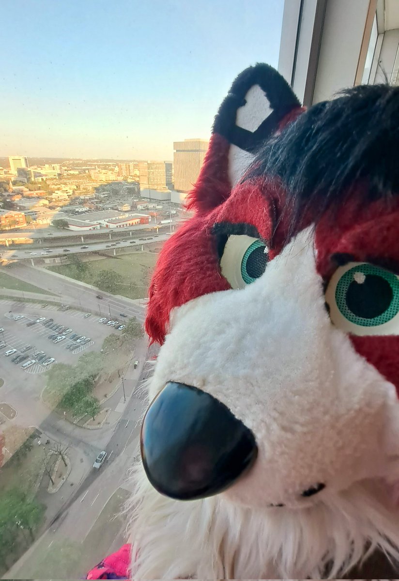 Spring Kibbins 🌺 🔜 FWA 2026 tweet media