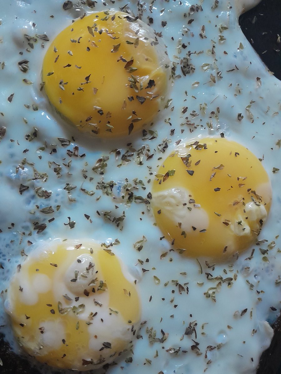 El Fogonero de Ferro tweet media