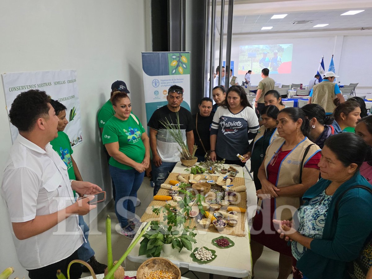 Oriente_ES | Diario El Salvador tweet media