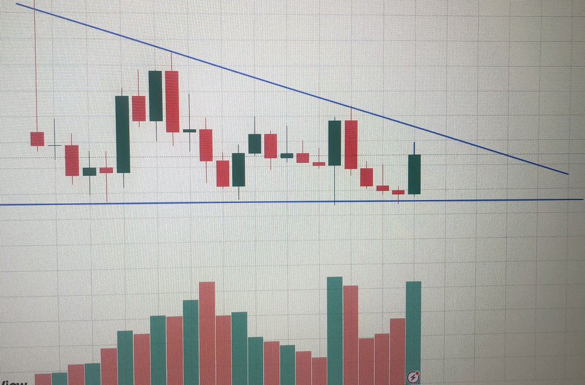 P3tridish🌏☮️⛺️ tweet media