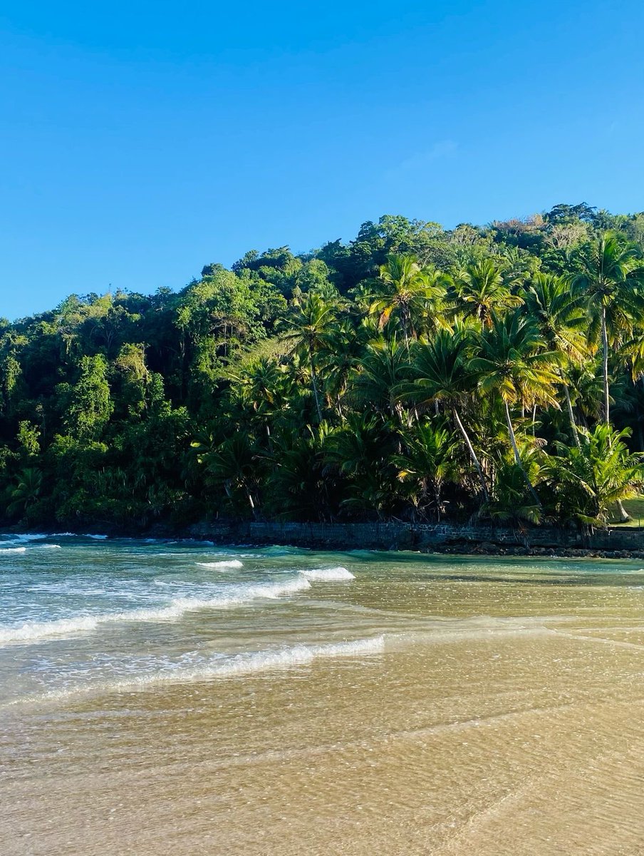 Queria Viajar 🌎 tweet media