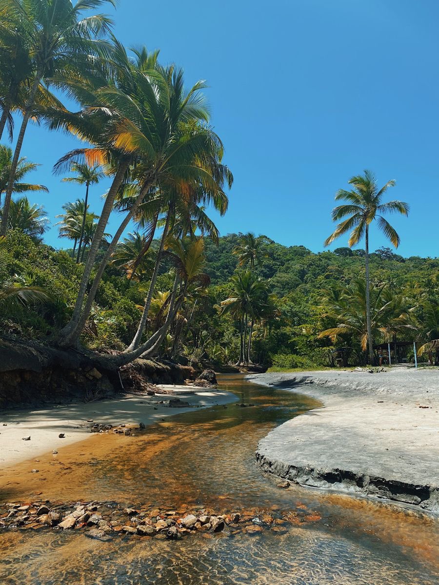 Queria Viajar 🌎 tweet media