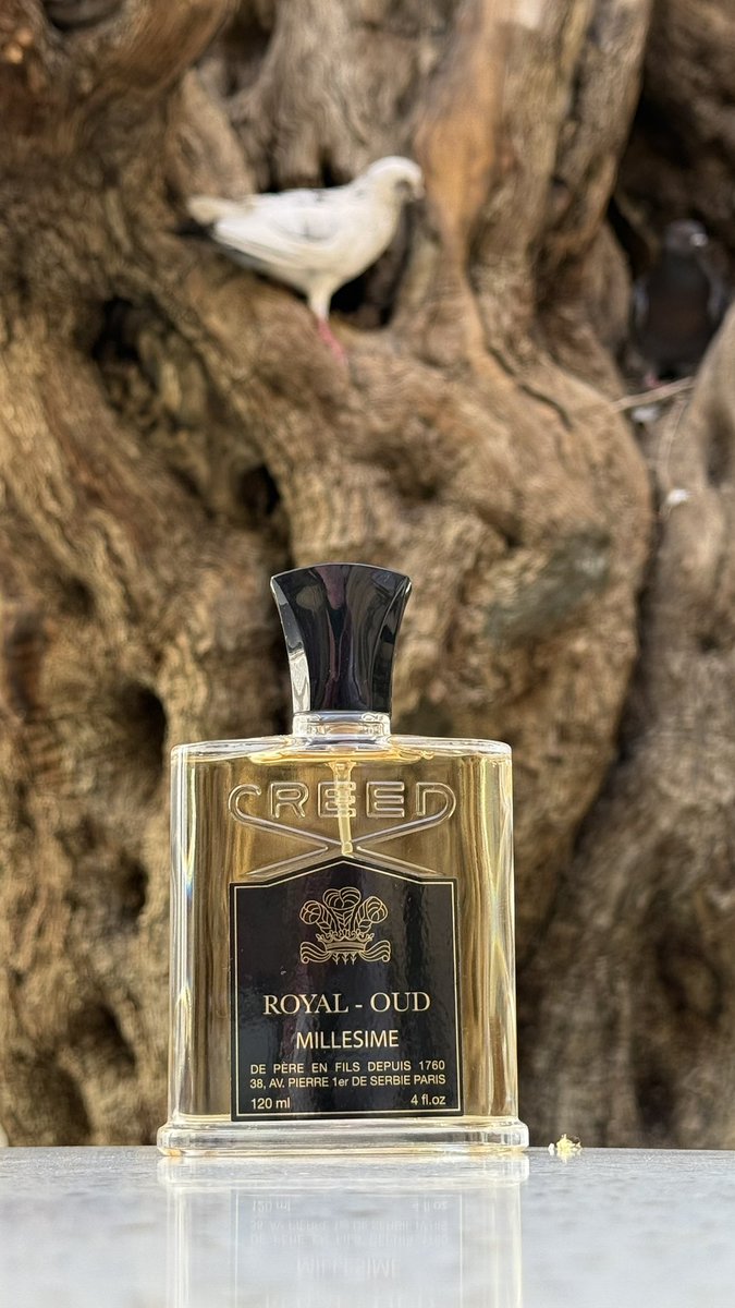 عبدالرزاق | ABU-SAAD tweet media