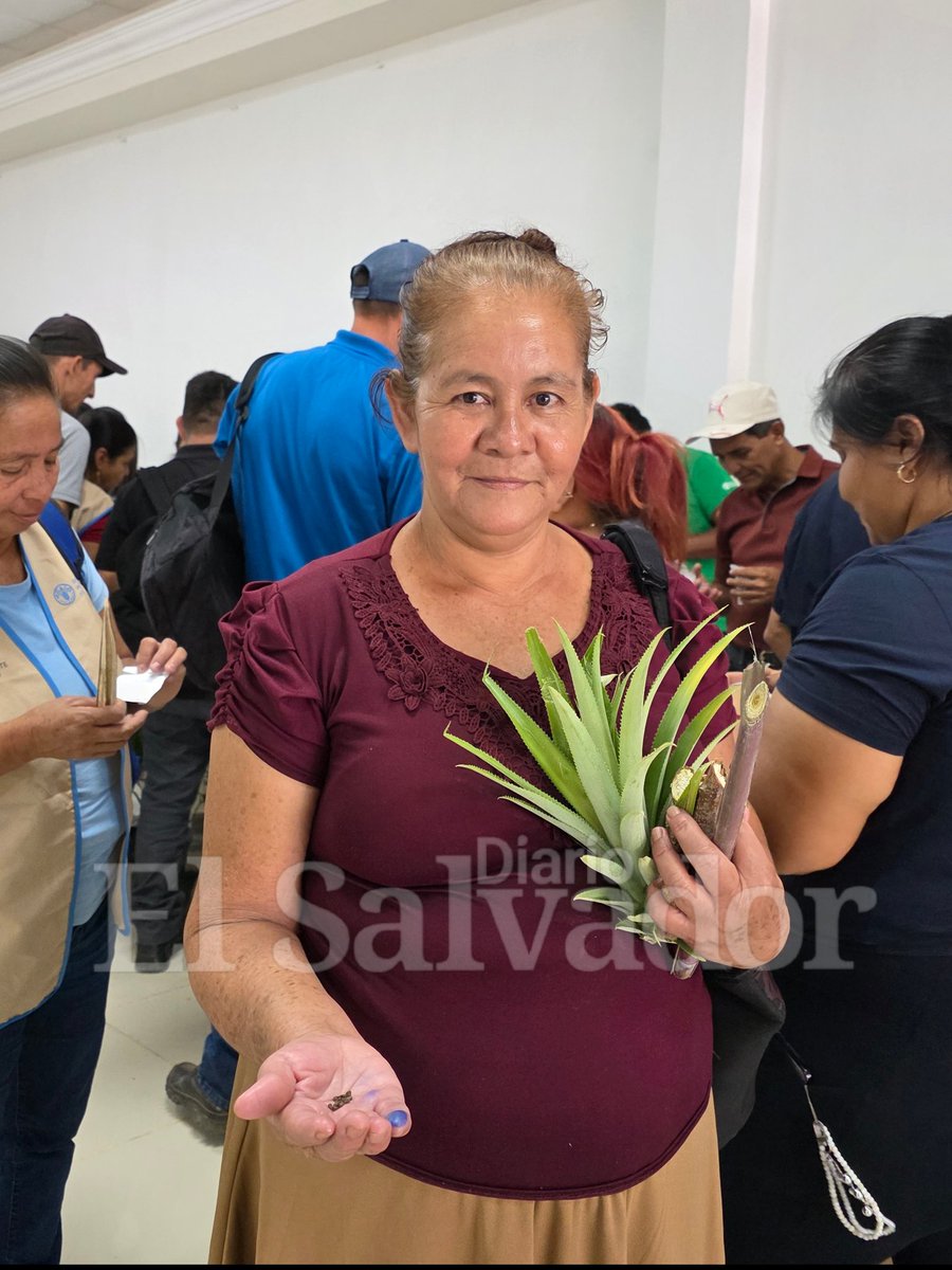 Oriente_ES | Diario El Salvador tweet media