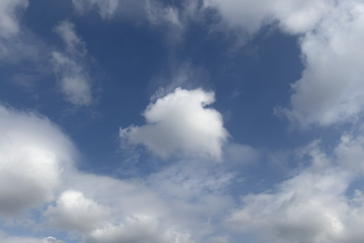 こいじゃ tweet media