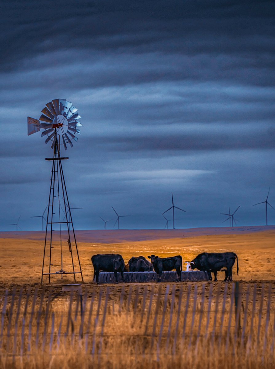 Ken James tweet media